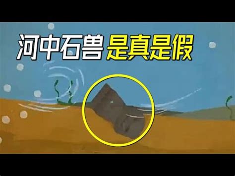 河中石獸工作紙答案|七年級五單元《河中石獸》練習題附答案